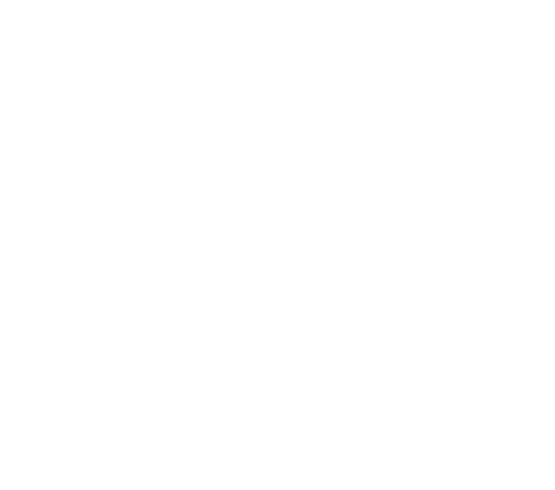The Queen of Dragons